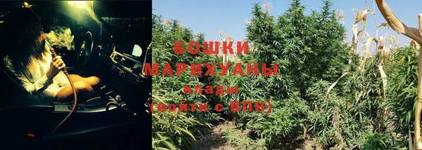 молекула духа Аркадак