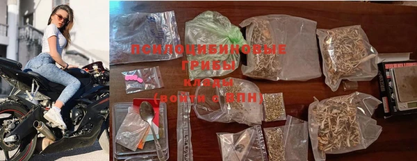 молекула духа Аркадак