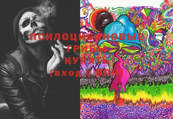 бошки Надым